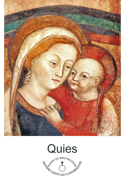 quies_logo.png